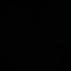 Meet your Posher, Diego